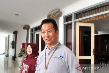 BKKBN: Data penurunan angka pernikahan perlu dikaji lebih komprehensif