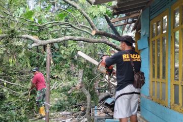 BMKG: Waspadai potensi angin kencang di Jateng selatan