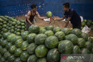 Stok buah di Pasar Induk Kramat Jati melimpah