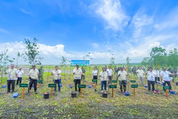 PLN Energi Primer Indonesia inisiasi program ekowisata mangrove