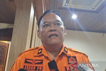 BPBD: 11 pohon tumbang di Semarang akibat hujan disertai angin kencang