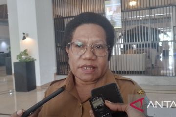 Pemkab Jayapura harap PLN bantu rumah OAP teraliri listrik