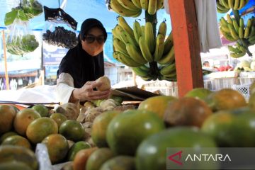 Pedagang Buah di Medan Meningkat