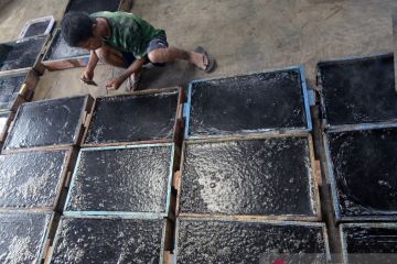 Produksi cincau hitam saat Ramadhan