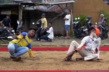 Ngabuburit dengan bermain burung merpati