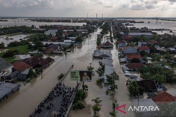 Banjir Demak rendam ribuan rumah di 89 desa dan mengakibatkan 24.946 jiwa mengungsi