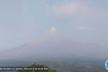 Gunung Semeru erupsi lagi dengan letusan setinggi 500 meter