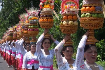 Tradisi Mapeed Alas Kedaton di Tabanan Bali