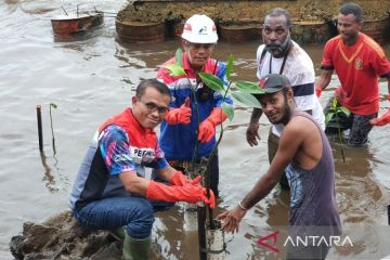 Pertamina Papua menanam 3.000 pohon mangrove di Terminal BBM Jayapura