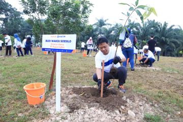 Pupuk Kaltim tanam 612.180 pohon sejak 2022 untuk kurangi emisi karbon