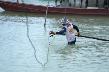 Program PT PLN desa energize