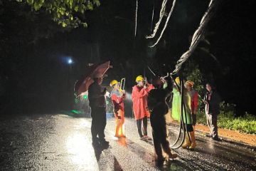 PLN tangani 40 gangguan kelistrikan saat cuaca ekstrem di Bali 