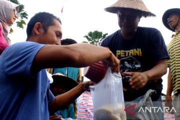 Petani Pangan Jatim bagikan beras lokal di depan Kantor Pemkab Jember