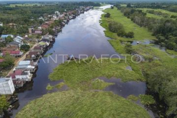 Rumah roboh terseret gulma di Muaro Jambi