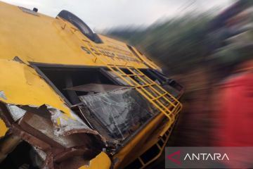 Bus terjun di Afrika Selatan, 45 orang tewas