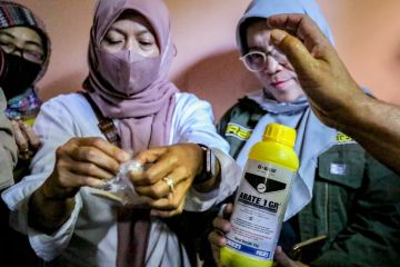 Tekan kasus DBD, Pemkot Bandung siapkan 300 kilogram bubuk abate