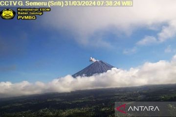 Gunung Semeru erupsi lontarkan abu vulkanik setinggi 600 meter