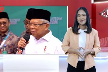 Wapres soal hak angket hingga ratusan penyu bertelur di Banyuwangi