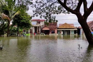 Banjir di Demak berangsur surut, Pantura masih lumpuh