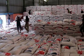Mendag jelaskan harga beras lokal belum mengalami penurunan