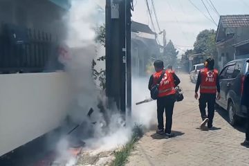 Kasus DBD di Kota Tangerang tembus 112 kasus, PMI gencarkan fogging
