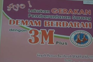 Imbauan Kemenkes untuk hindari DBD bagi pemudik