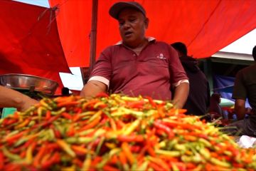 Tomat dan cabai rawit picu deflasi di Provinsi Gorontalo