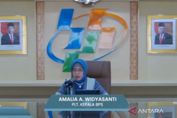 BPS: Jumlah penumpang pesawat dan kapal turun sepanjang Februari 2024