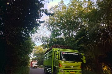 BPTD Lampung: Kendaraan barang dipilah di rest area JTTS kilometer 20