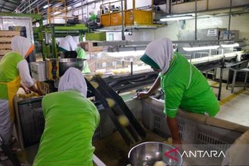 Kinerja manufaktur RI capai ekspansi dalam 31 bulan berturut-turut