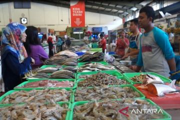 KKP ungkap kebutuhan ikan beberapa daerah naik 10-20 persen