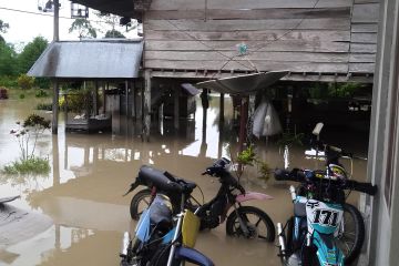BPBD Sulteng: 35 rumah warga terendam banjir di Kabupaten Poso