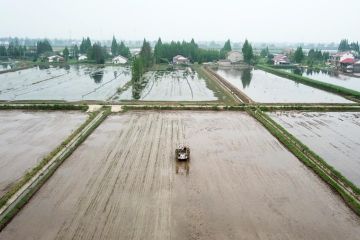 Platform pintar dukung pengembangan pertanian di Hunan, China tengah