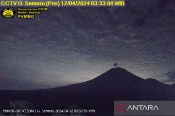 Gunung Semeru kembali erupsi dengan letusan setinggi 700 meter