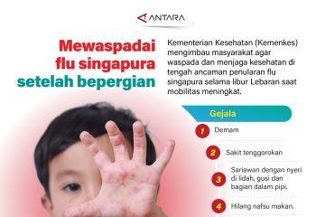 Mewaspadai flu singapura setelah bepergian