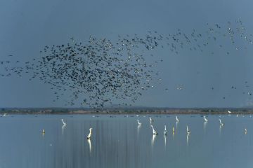 Danau air tawar terbesar kedua di China alami perluasan signifikan