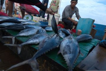 Pasokan turun harga ikan naik drastis