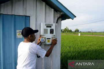 Kementan upayakan listrik masuk sawah demi optimalkan pompanisasi