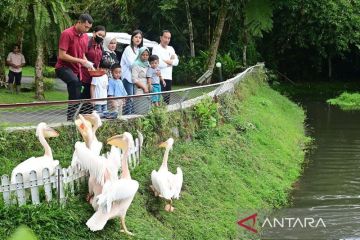 Presiden Jokowi ajak cucu wisata pengenalan satwa di Sumut