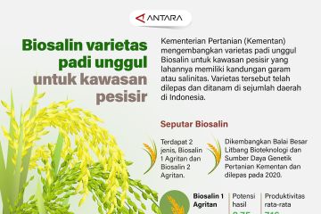 Biosalin varietas padi unggul untuk kawasan pesisir