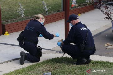 Polisi olah TKP serangan penikaman di Sydney