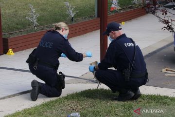 Polisi Australia tangkap tujuh pemuda terkait penikaman di gereja