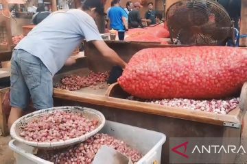 Harga bawang merah di Pasar Induk Kramat Jati capai Rp70 ribu/kilogram