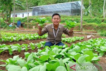 Nara Puncak bangun pertanian sistem integrated farming di Bogor