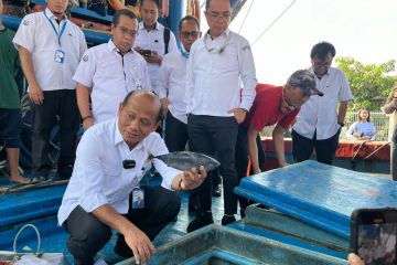 Geliat Perikanan Tangkap di Muara Baru Jakarta Pasca Libur Lebaran