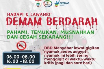 Dinkes Sulbar minta masyarakat tingkatkan kewaspadaan terhadap DBD