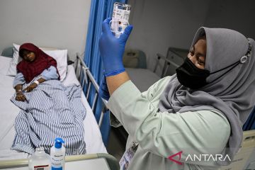 DKI kemarin, pelepasan nyamuk Wolbachia lalu solusi kemiskinan Jakarta