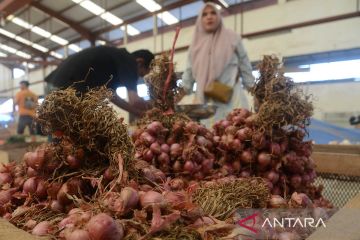 FOTO - Harga bawang naik drastis di Aceh