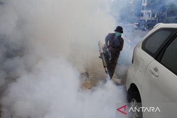 Jakarta Utara gencarkan aksi cegah demam berdarah dengue