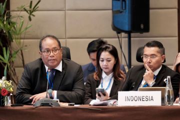 Jadi tulang punggung pengembangan UMKM di Indonesia, PNM hadiri 57th APEC SMEWG